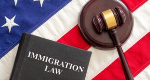 Lawyer for Immigration