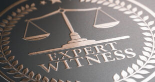 Expert Witness Lawyer Pay