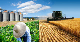 Agricultural Lawyer Job Listings