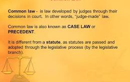 Common Lawyer Meaning