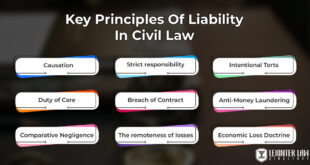 Civil Lawyer Definition