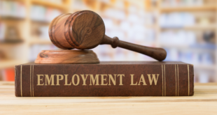 Employment Lawyer Definition