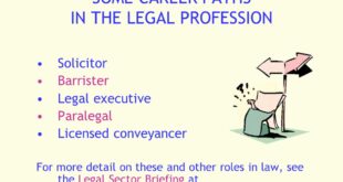 Legal Profession Lawyer