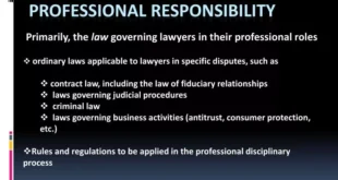 Professional Lawyer Definition