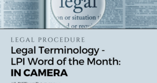 Professional Lawyer Term