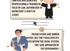 Job Role Lawyer Definition