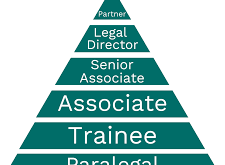 Lawyer Legal Position